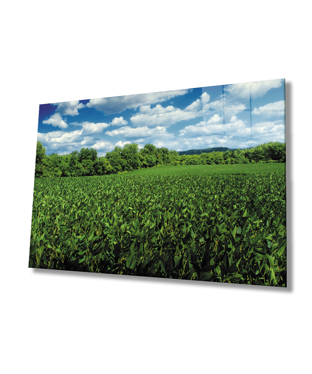 Mavi Yeşil Manzara Cam Tablo  4mm Dayanıklı Temperli Cam Blue Green Landscape Glass Wall Art