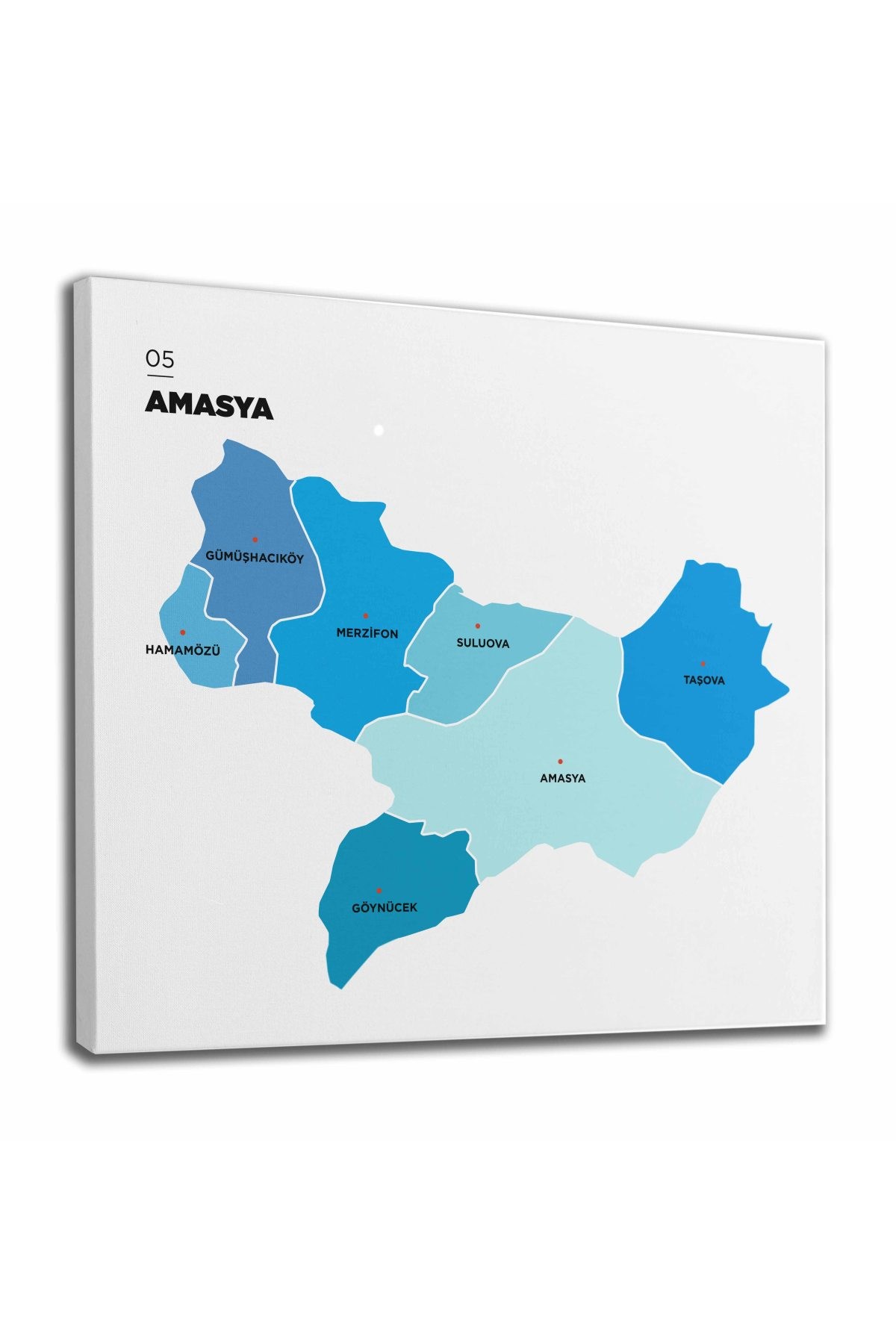 Amasya  İli ve İlçeler Haritası  Dekoratif Kanvas Tablo 1261