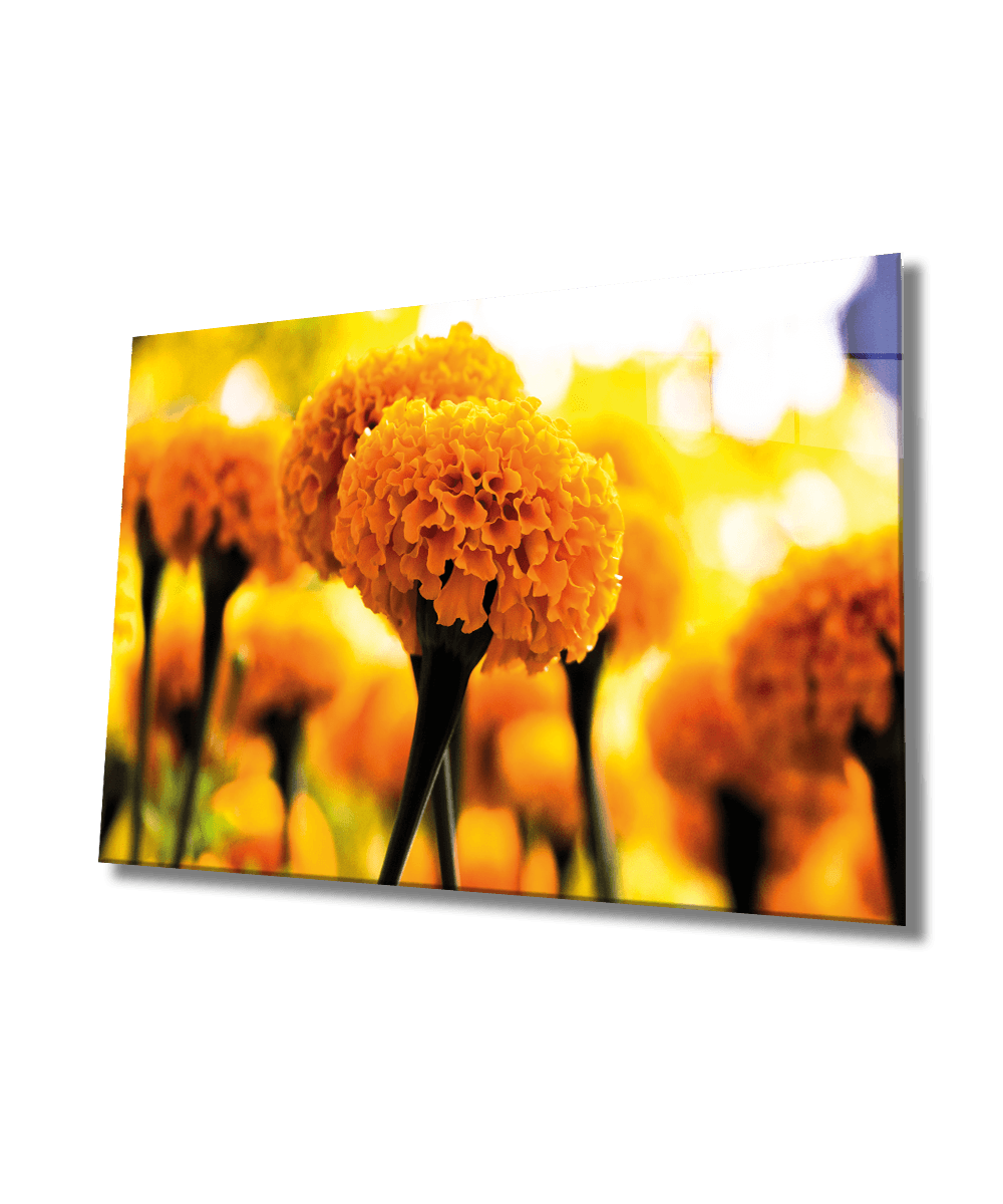 Sarı Çiçek-6 Cam Tablo 4mm Dayanıklı Temperli Cam,