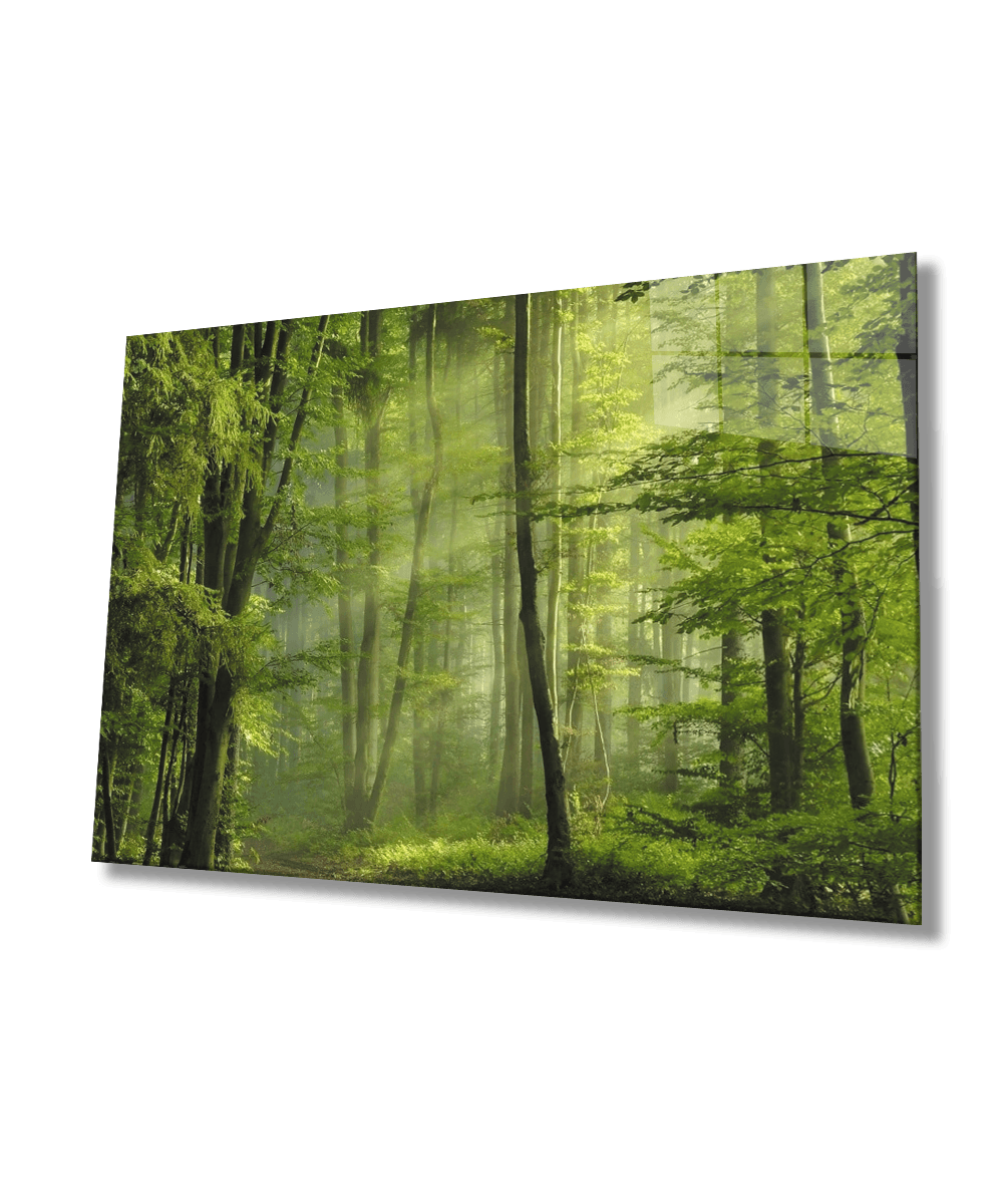 Ağaç Yeşil Orman Cam Tablo  4mm Dayanıklı Temperli Cam Tree Green Forest Glass Wall Art