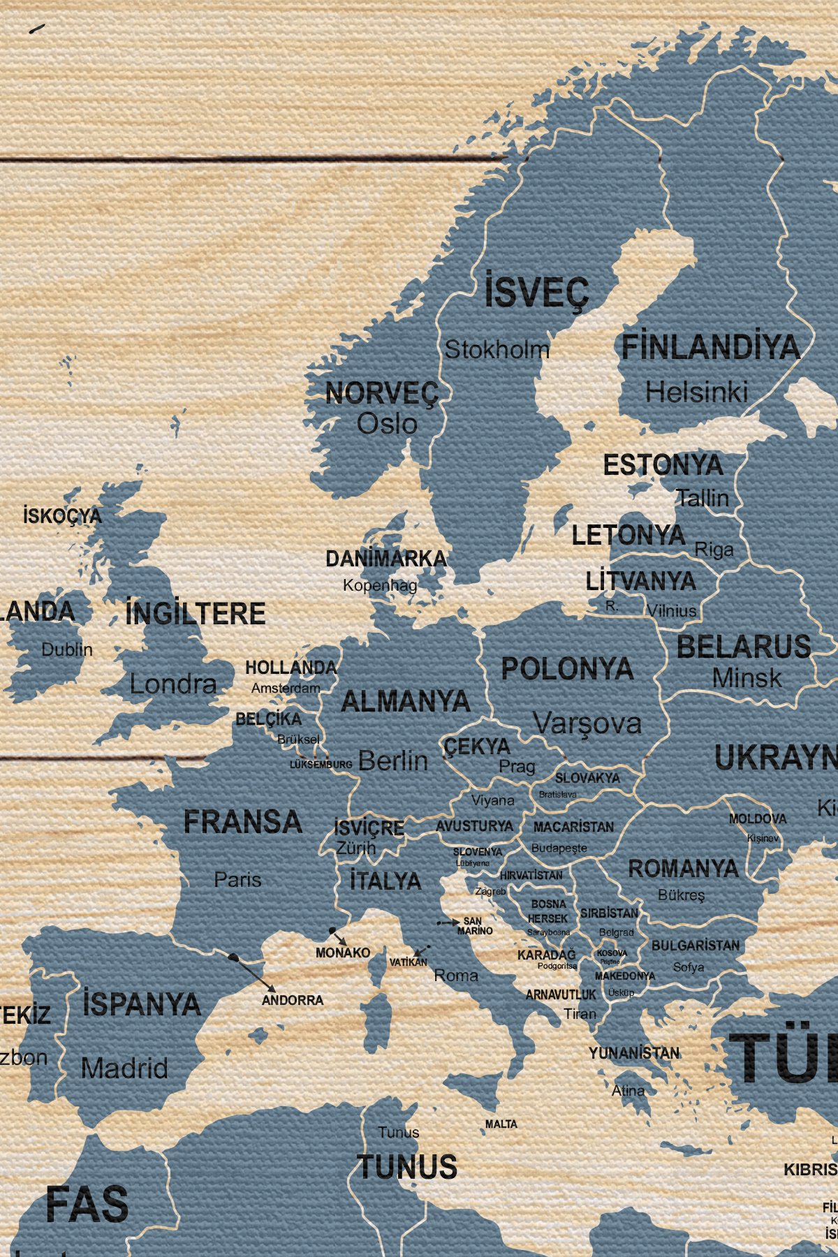 Ahşap Görünümlü Türkçe Dünya Haritası Ülke Başkentli Kanvas Tablo 1842