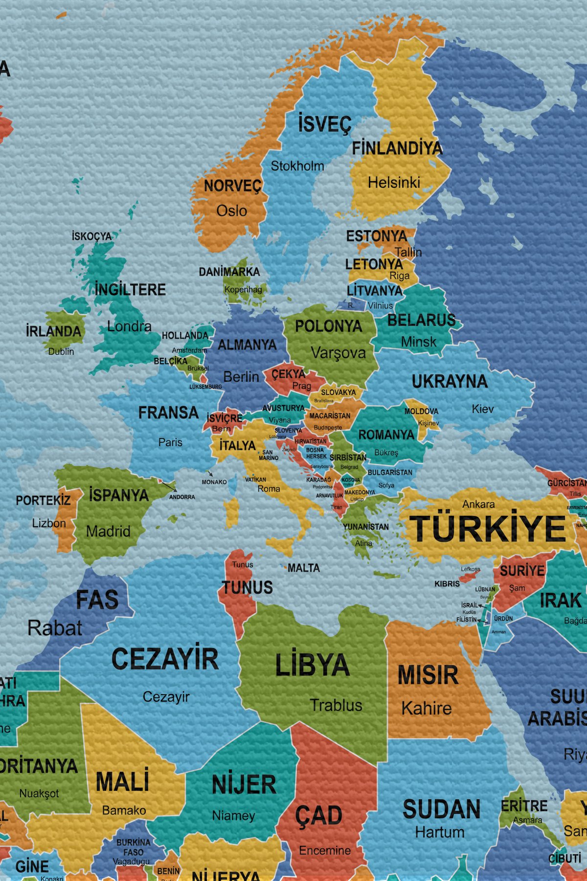 Duvar Örtüsü / Halısı Detaylı Güncel Türkçe Dünya Haritası  Kaliteli Kanvas Kumaş