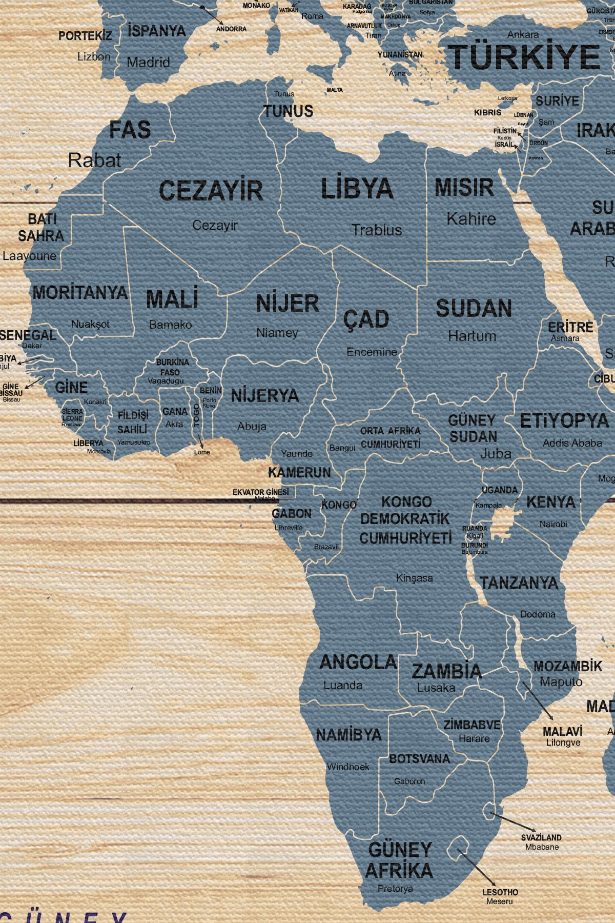 Ahşap Görünümlü Türkçe Dünya Haritası Ülke Başkentli Kanvas Tablo 1842