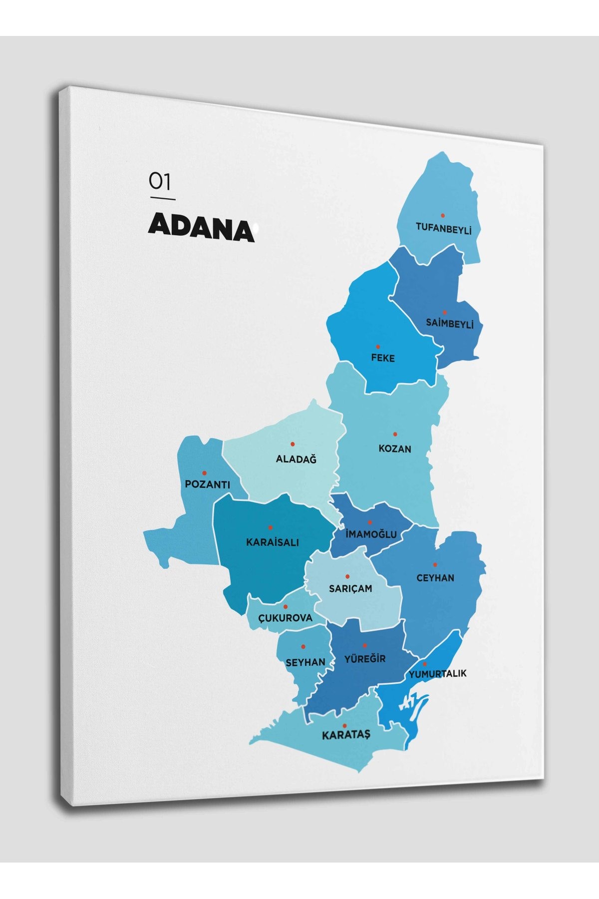 Adana İli ve İlçeler Haritası  Dekoratif Kanvas Tablo 1247