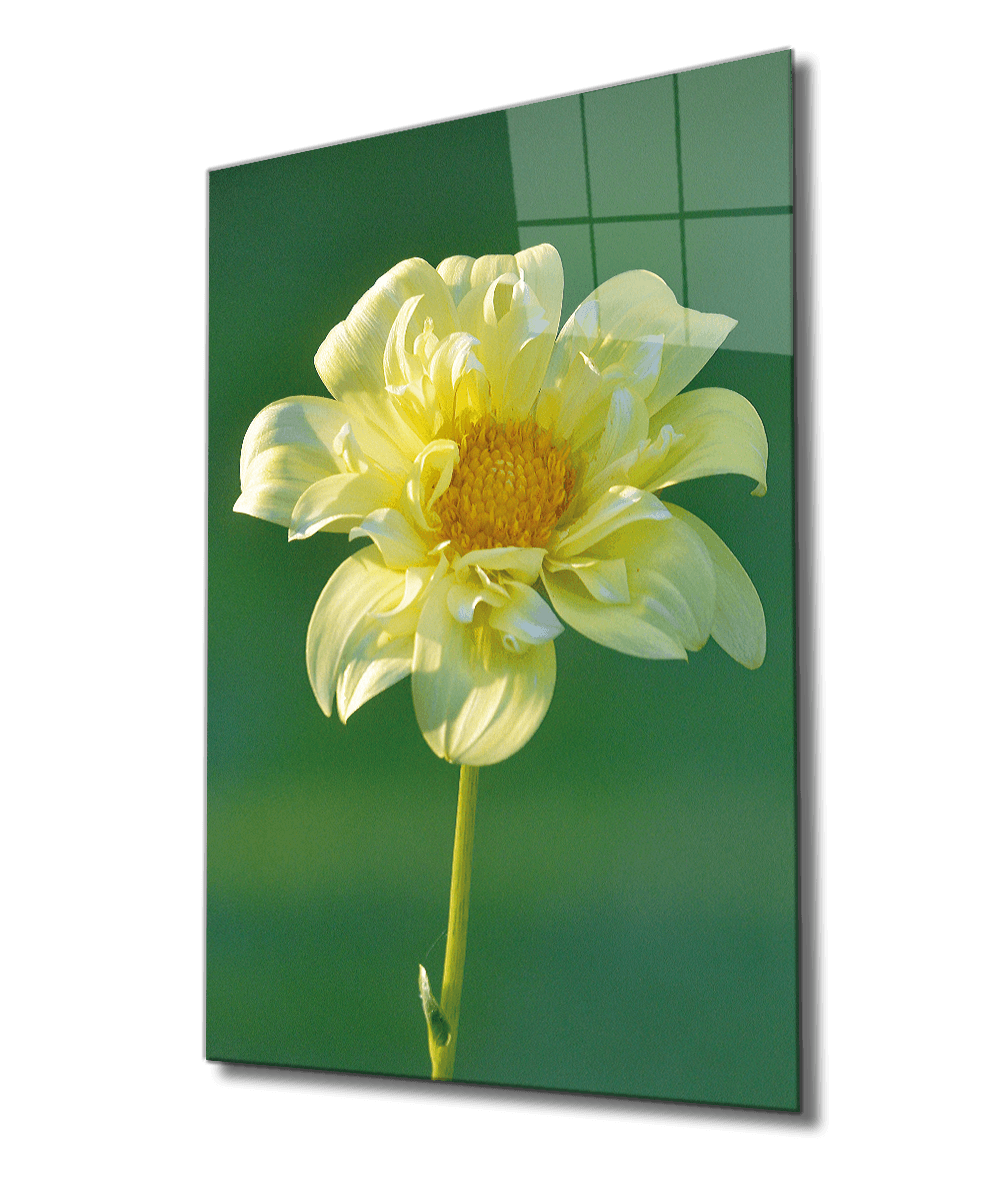 Sarı Çiçek-3 Cam Tablo  4mm Dayanıklı Temperli Cam, Yellow Glass Wall Decor