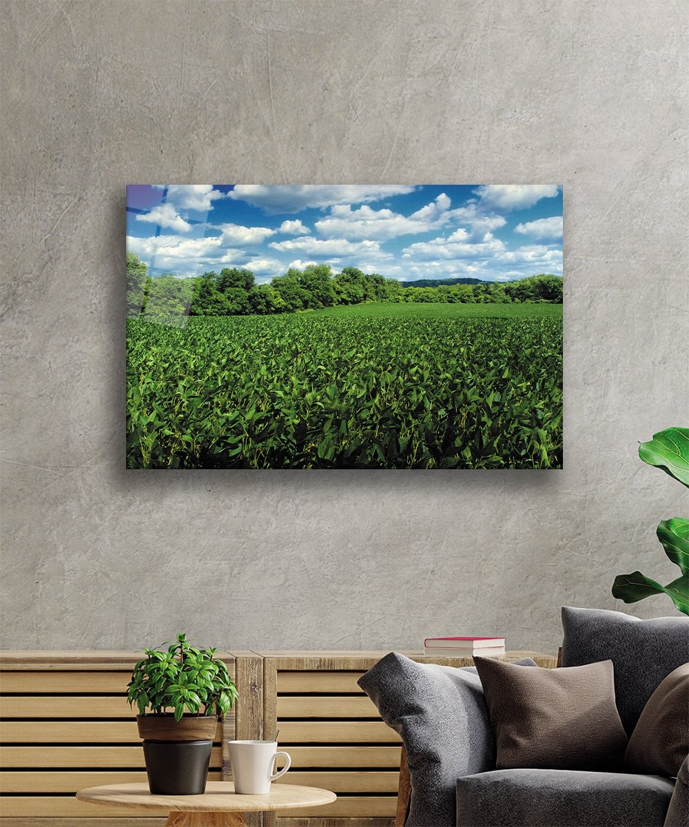 Mavi Yeşil Manzara Cam Tablo  4mm Dayanıklı Temperli Cam Blue Green Landscape Glass Wall Art