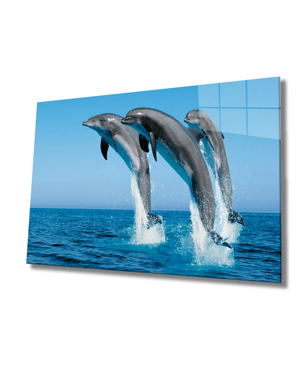 Yunus Balıkları-2 Cam Tablo  4mm Dayanıklı Temperli Cam, Dolphins Glass Wall Art