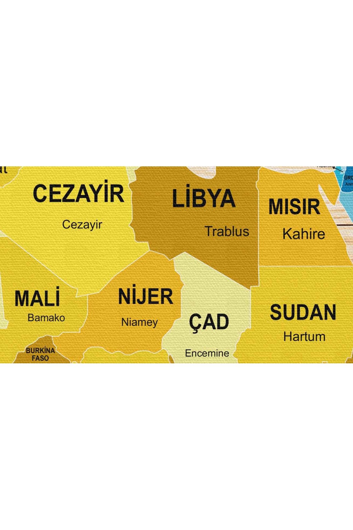 Ahşap Görünümlü Türkçe Dünya Haritası Dekoratif Kanvas Tablo 2106