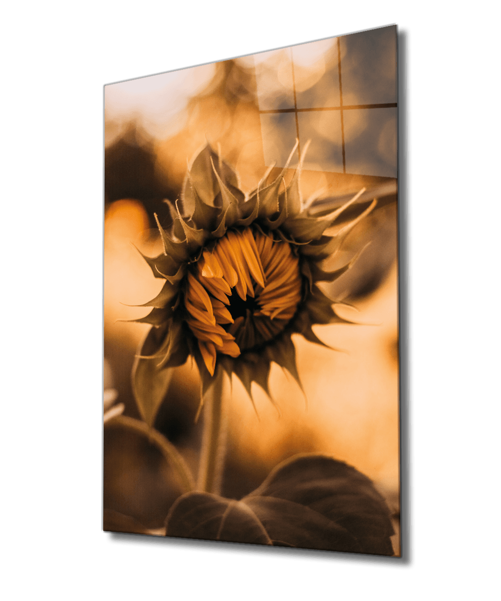 Ayçiçeği-14 Cam Tablo  4mm Dayanıklı Temperli Cam Sunflower Glass Wall Art