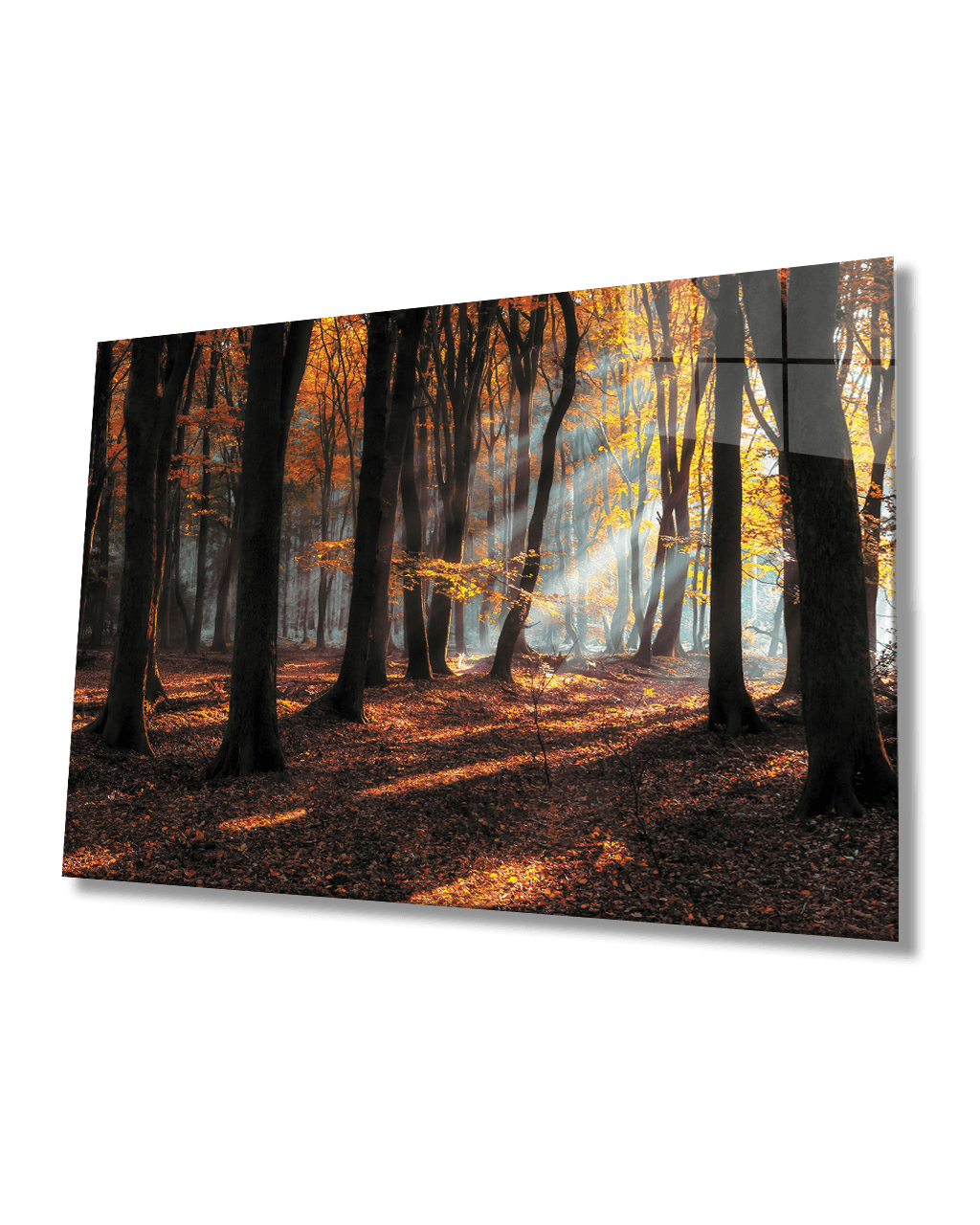 Gün Batımı Ağaçlar Manzara Cam Tablo 4mm Dayanıklı Temperli Cam