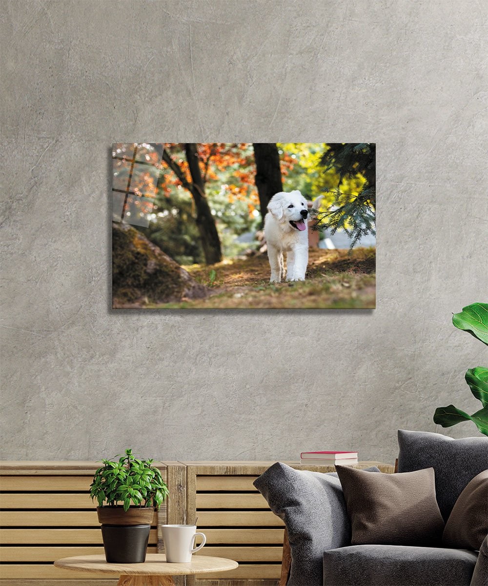 Köpek Cam Tablo