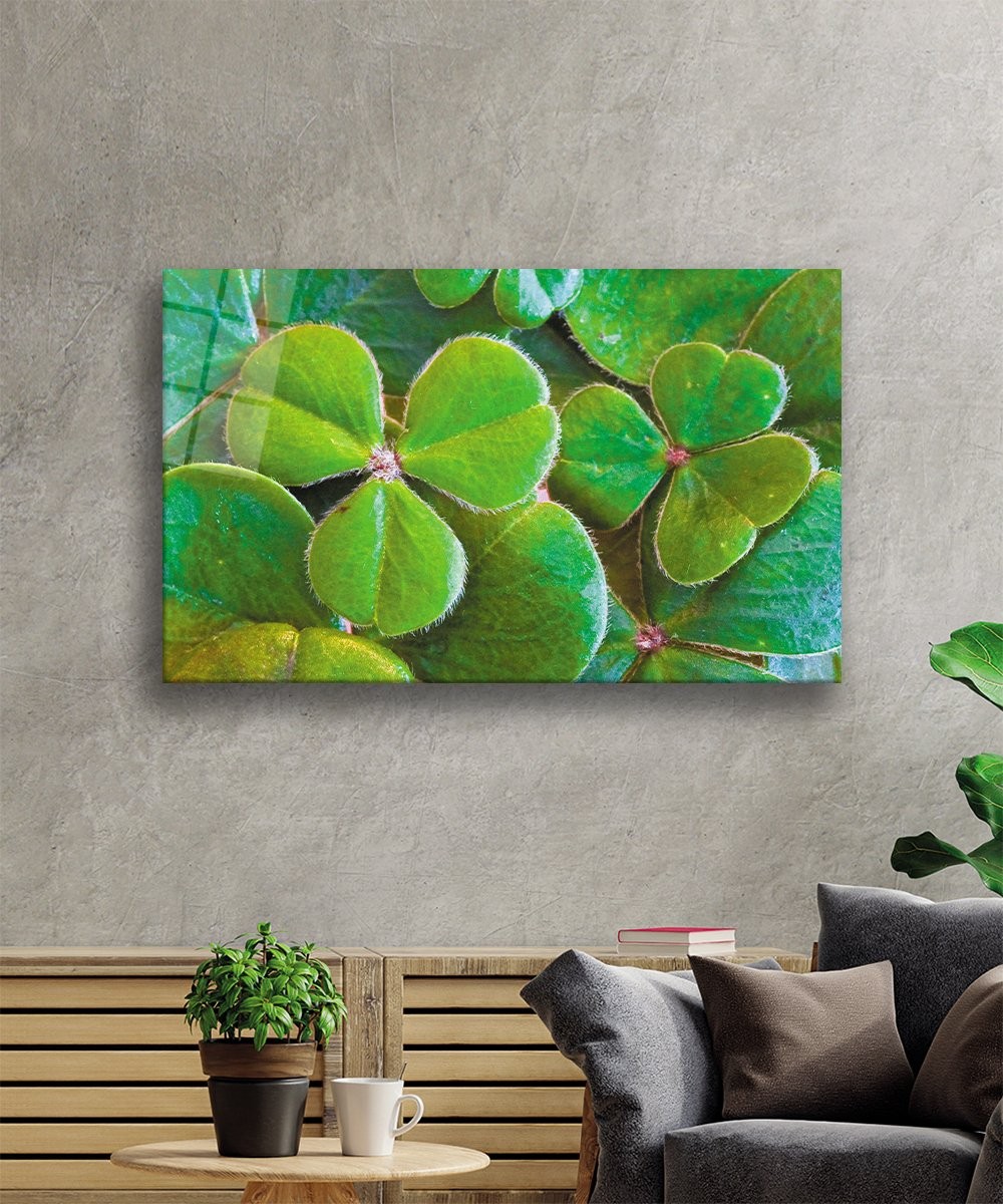 Üç Yapraklı Yonca Yeşil Cam Tablo  4mm Dayanıklı Temperli Cam Three Leaf Clover Green Glass Wall Art