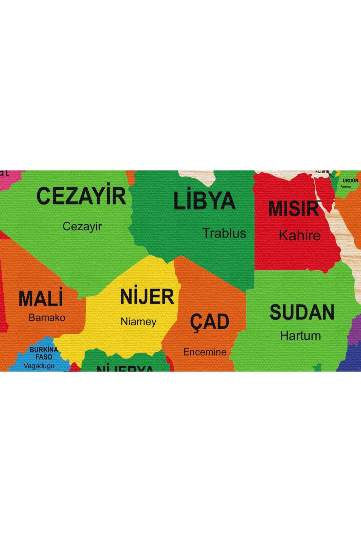 Ahşap Görünümlü Türkçe Dünya Haritası Dekoratif Kanvas Tablo 2110