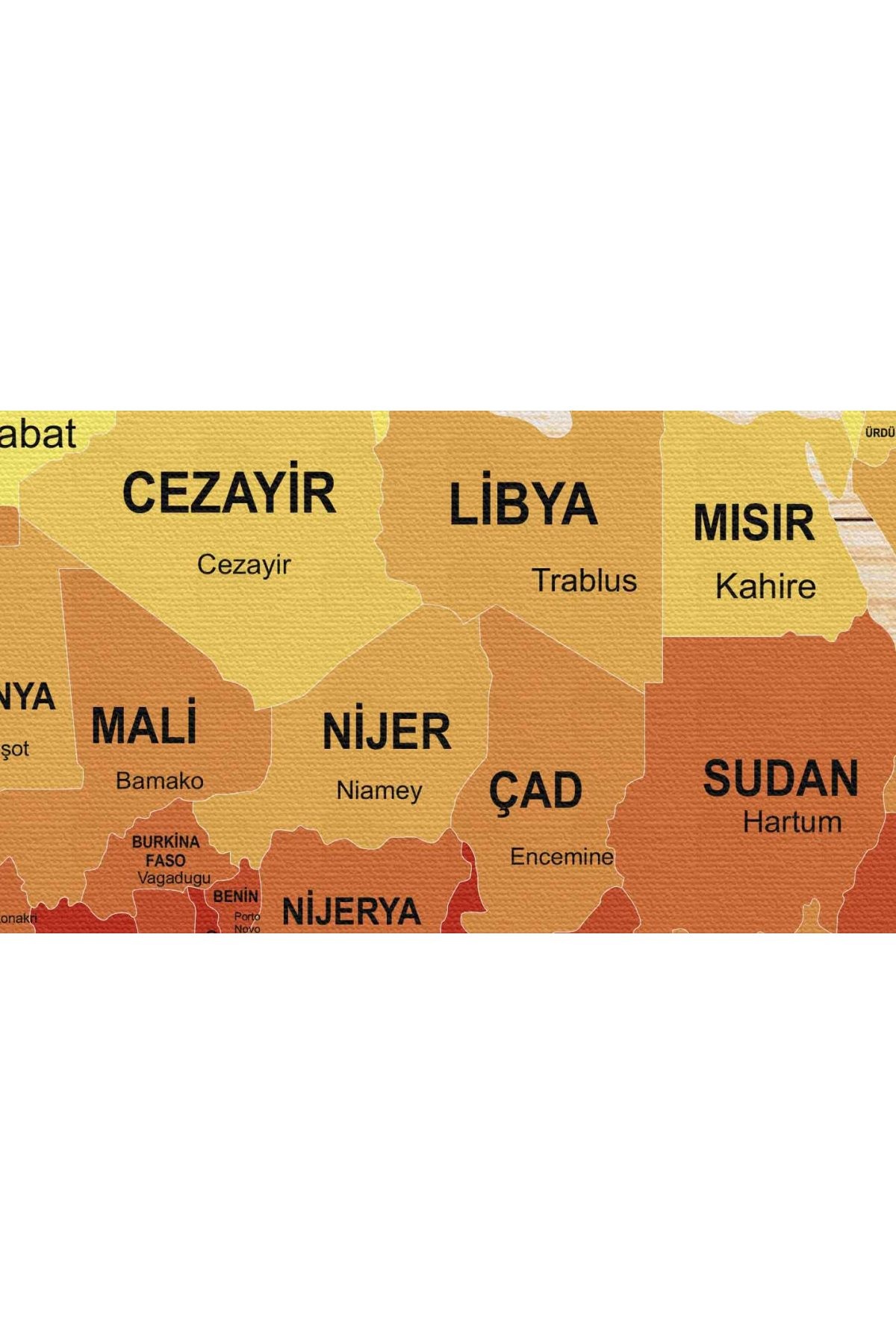 Ahşap Görünümlü Türkçe Dünya Haritası Ülke Başkentli Kanvas Tablo 1820