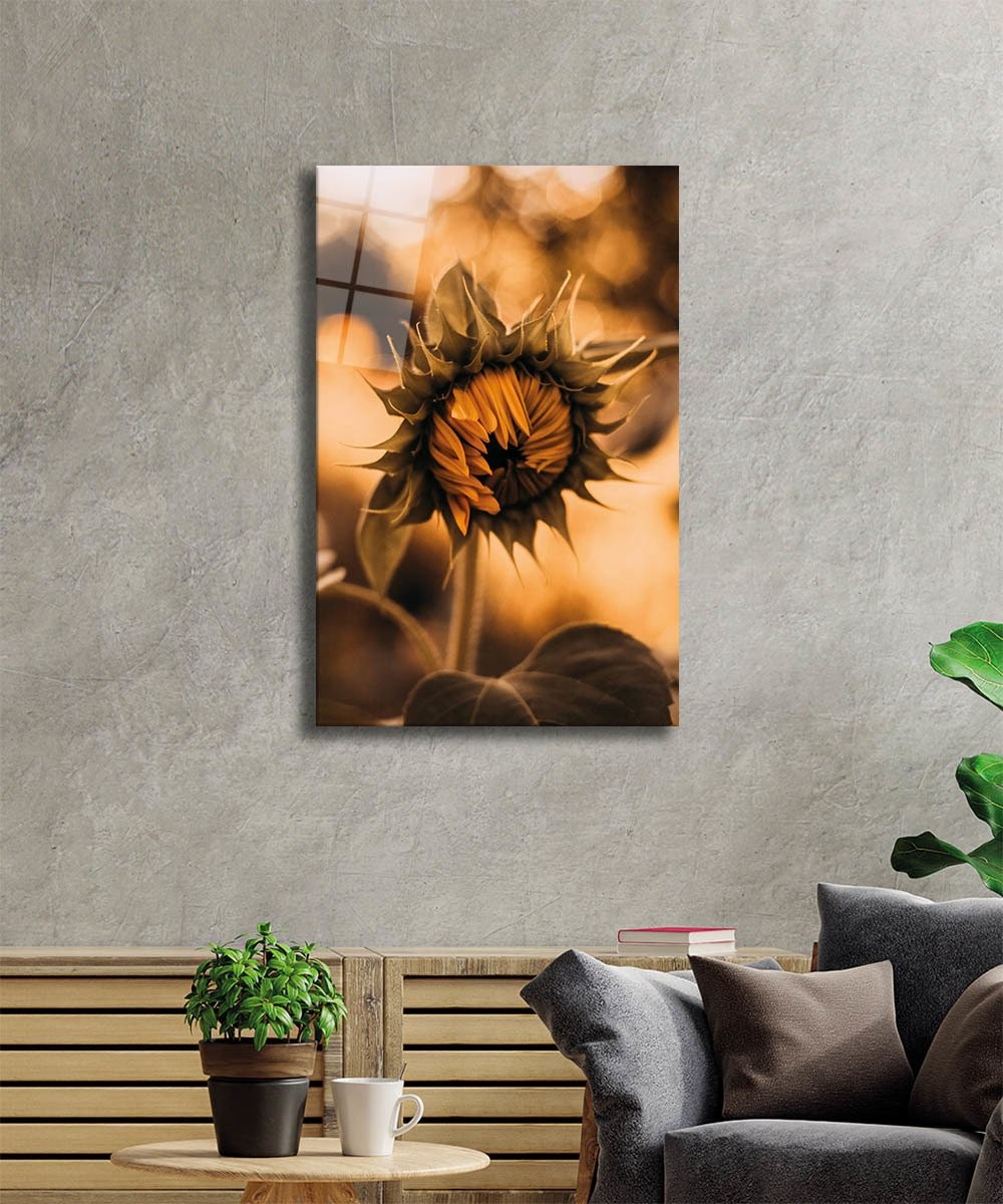 Ayçiçeği-14 Cam Tablo  4mm Dayanıklı Temperli Cam Sunflower Glass Wall Art