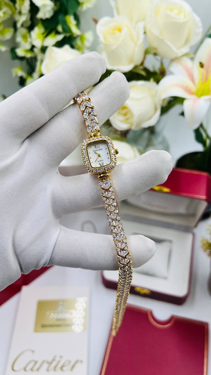 Top Quality Sapphire Glass Luxury Watches, Stainless Steel