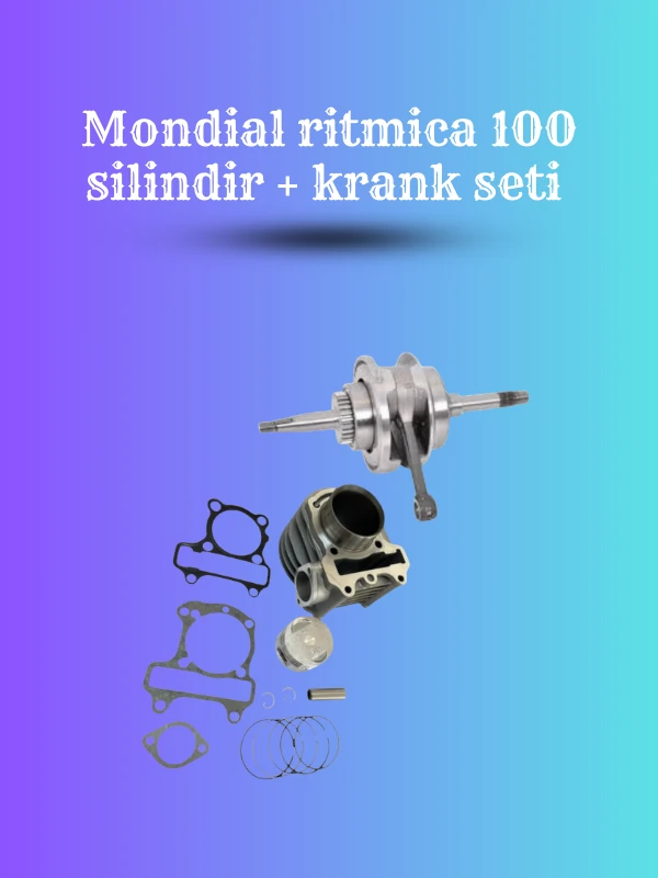 Mondial Ritmica 100 Silindir ve Krank Seti – Komple Motor Yenileme Kiti