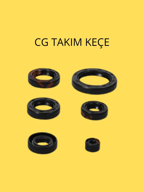 CG Takım Keçe – Motor Krank, Vites ve Supap Mili Yağ Keçesi Seti 125cc