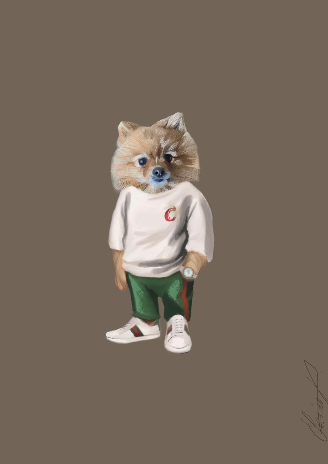 Casual Dog