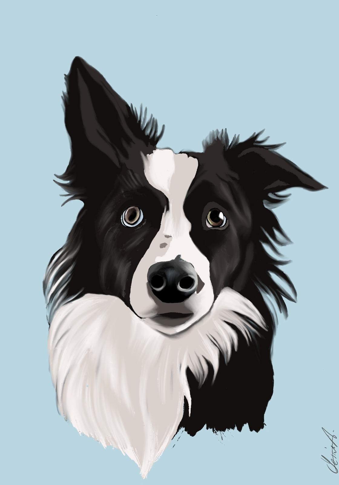 Dog 2