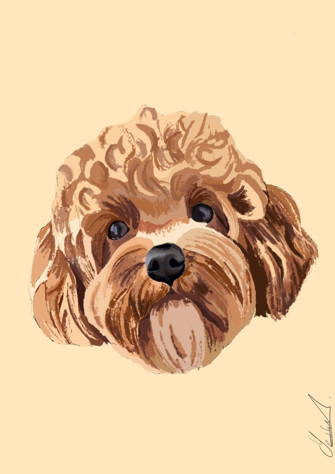 Dog 3 
