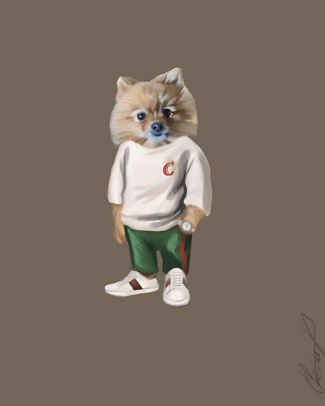 Casual Dog