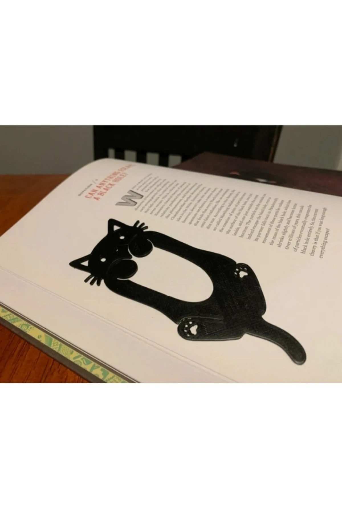 Tatlı Kedi Kitap Ayracı