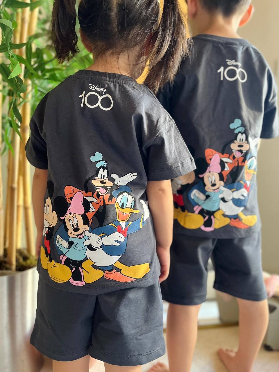 Gri Disney 100.Yıl Serisi