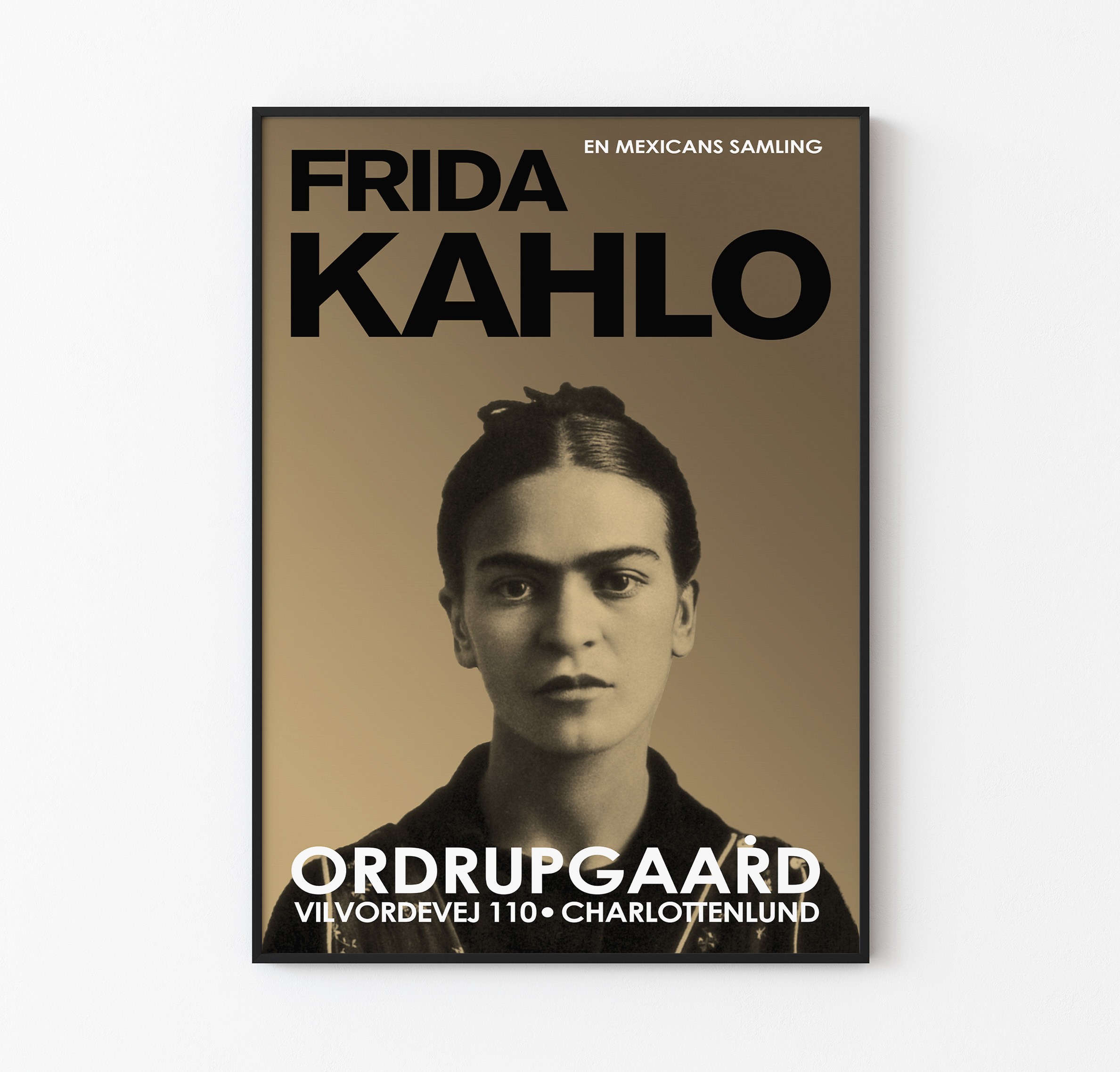 Frida Kahlo - Çok Nadir Sergi Afişi main variant image