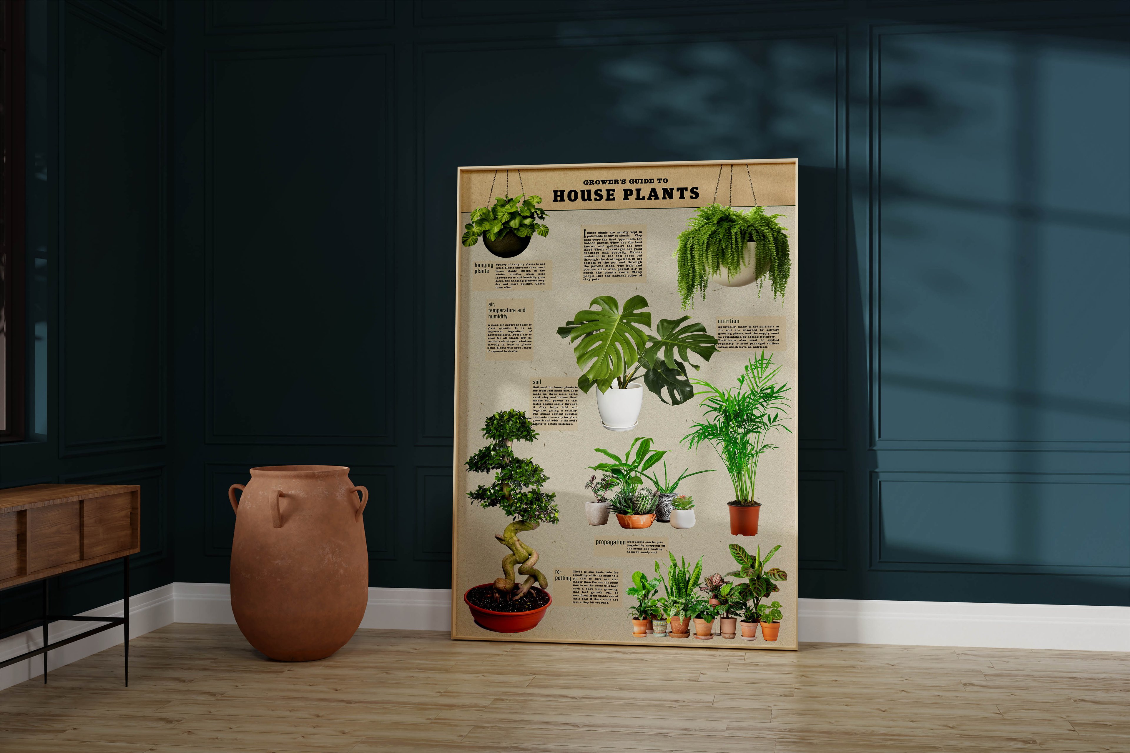 Growers Guide to House Plants - Bitki yetiştirme rehberi