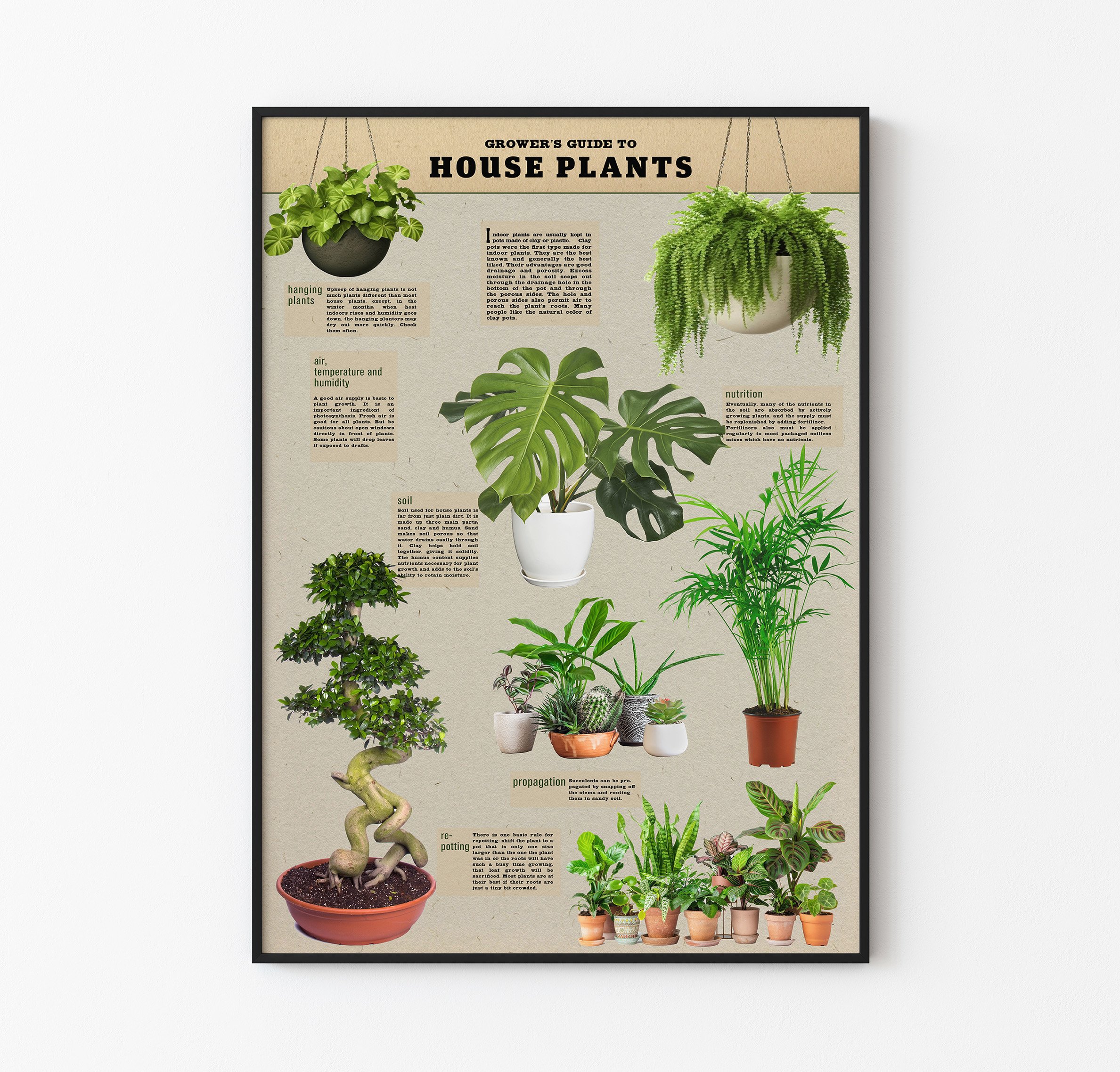 Growers Guide to House Plants - Bitki yetiştirme rehberi main variant image