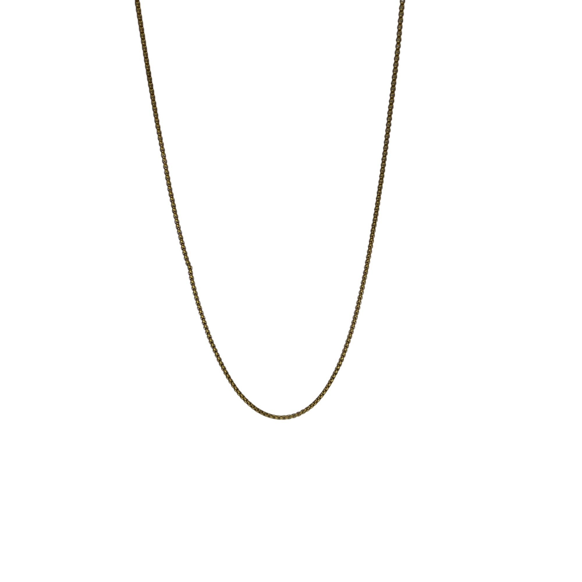 Hedea 2 mm Gold Women's Steel Necklace 60 cm