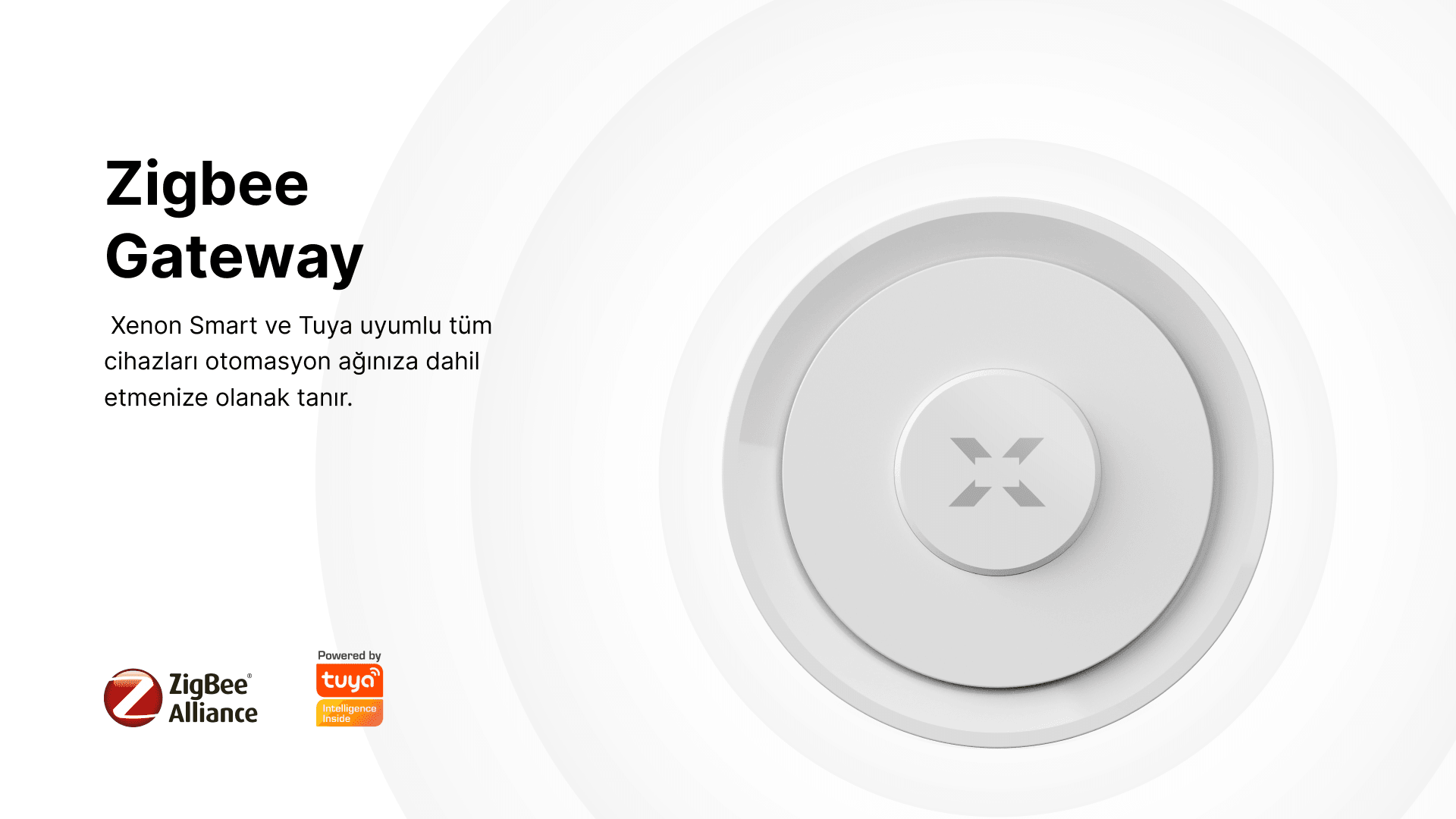 Zigbee Ağ Geçidi Bluetooth Wi-Fi Gateway
