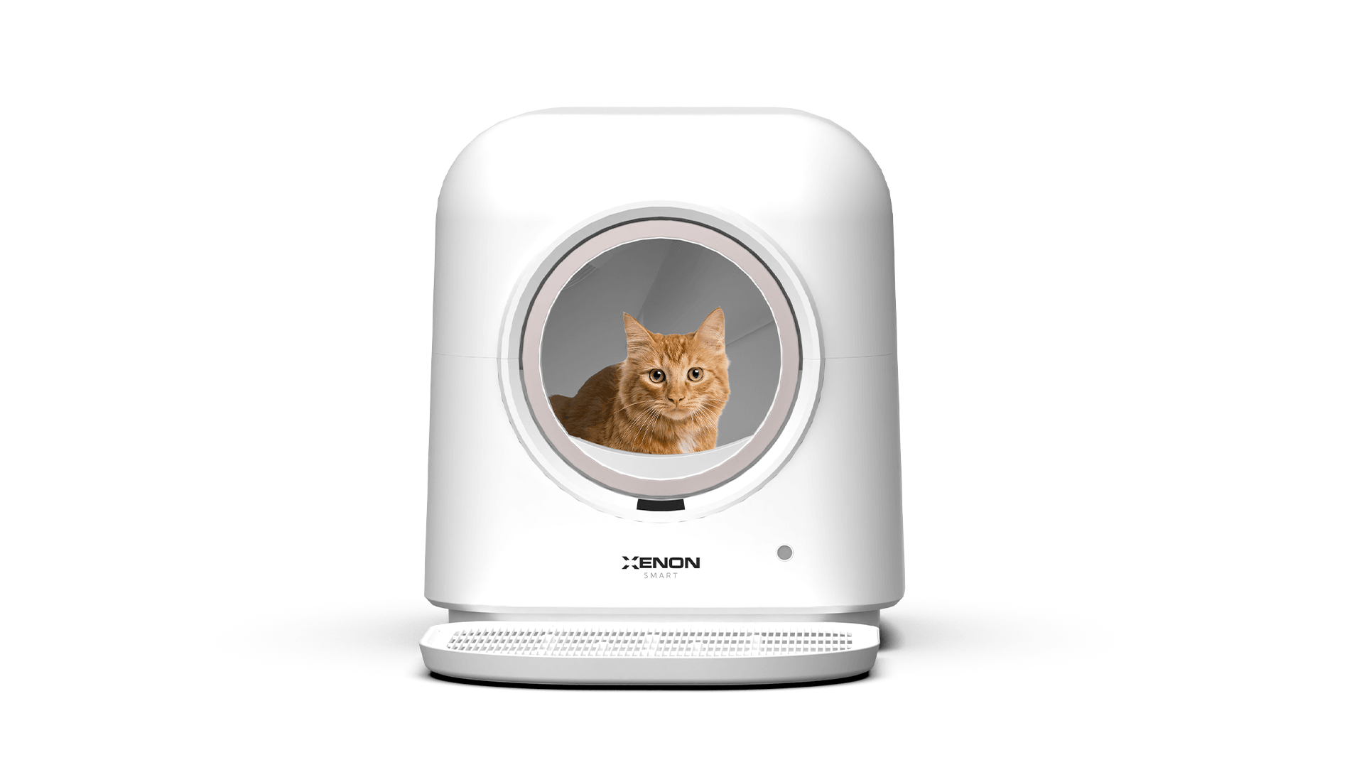 Akıllı Kedi Tuvaleti, Akıllı Kamera, Mama Kabı, Akıllı Kedi Su Pınarı Ve Filtre 5'li Pet Seti