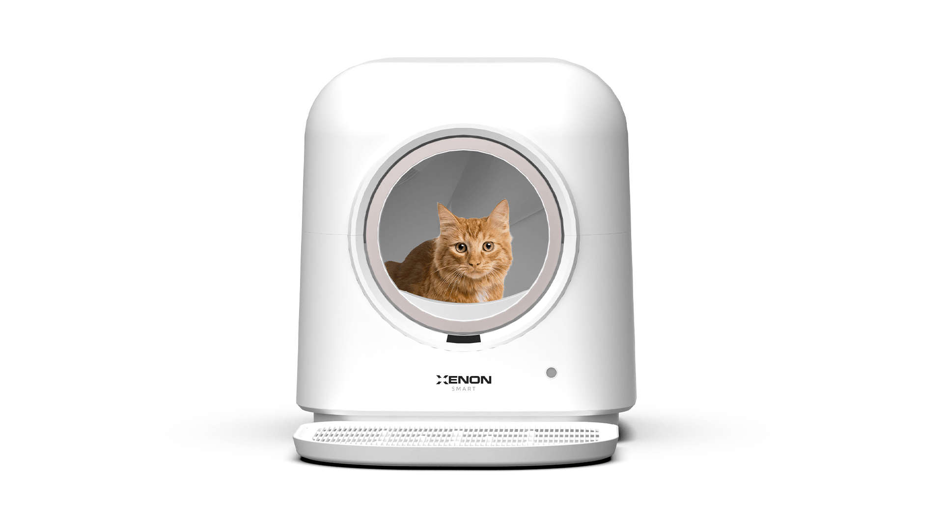 [Ön sipariş] Akıllı Kedi Tuvaleti, Akıllı Kamera, Mama Kabı, Akıllı Kedi Su Pınarı Ve Filtre 5'li Pet Seti