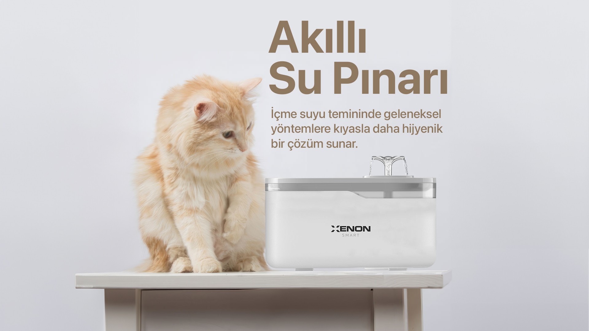 Akıllı Kedi Köpek Su Pınarı / Su Kabı Wi-Fi Destekli