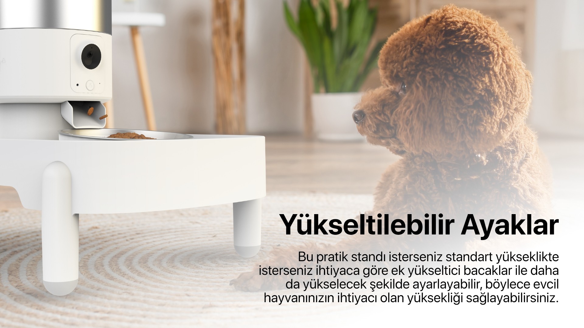 Mama Kabı Ve Su Pınarı Stantı