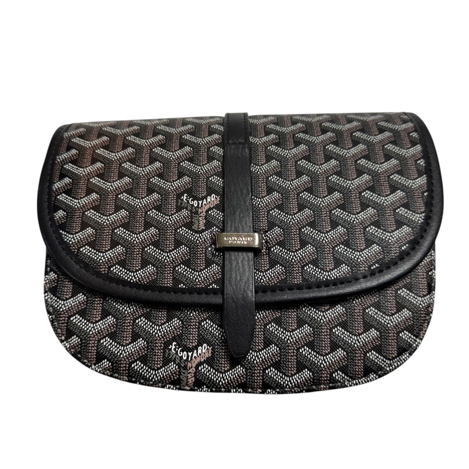 Goyard Brown Bag