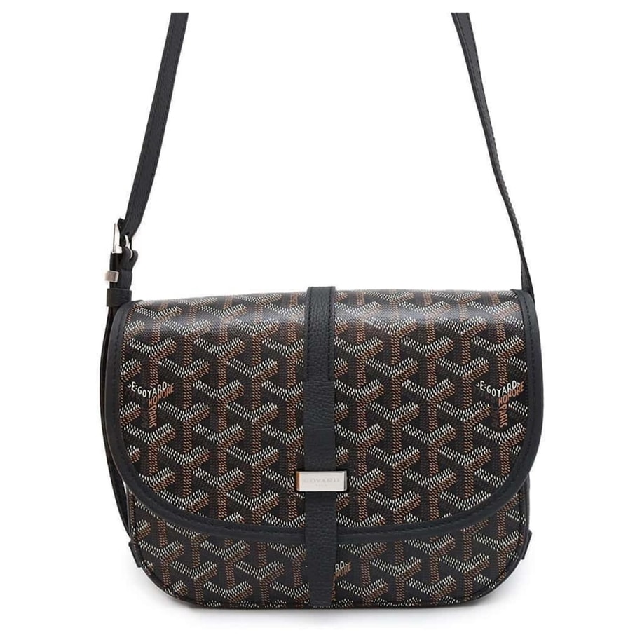 Goyard Brown Bag