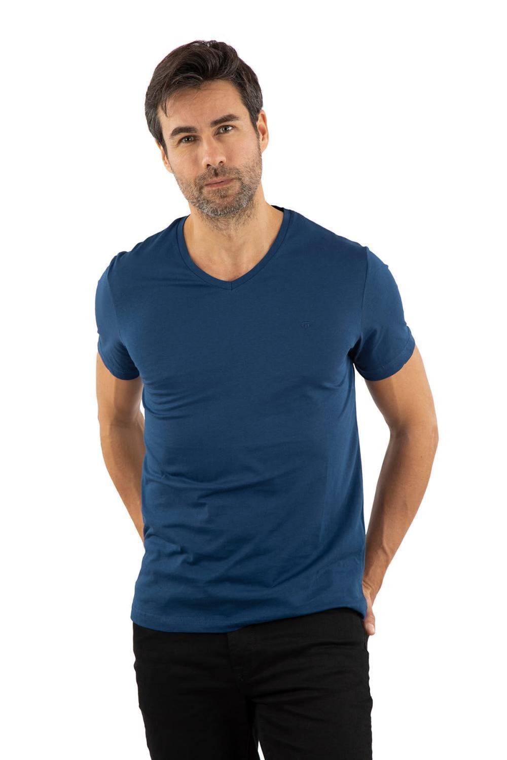 Regular Fit V Neck %100 Cotton Short Sleeves Basic T-Shirt