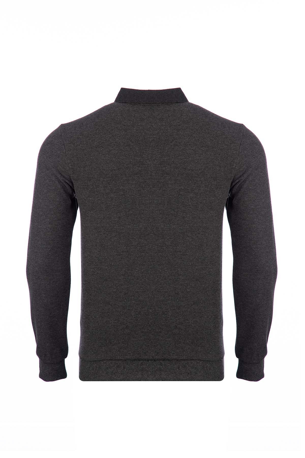 Büyük Beden Regular Fit Polo Yaka Baskılı Sweatshirt