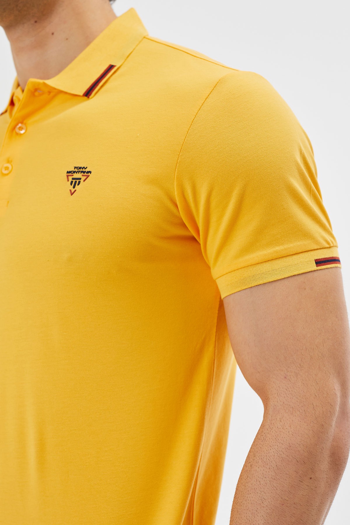 Regular Kalıp Arkası Baskı Detaylı Polo Yaka Erkek Tişört