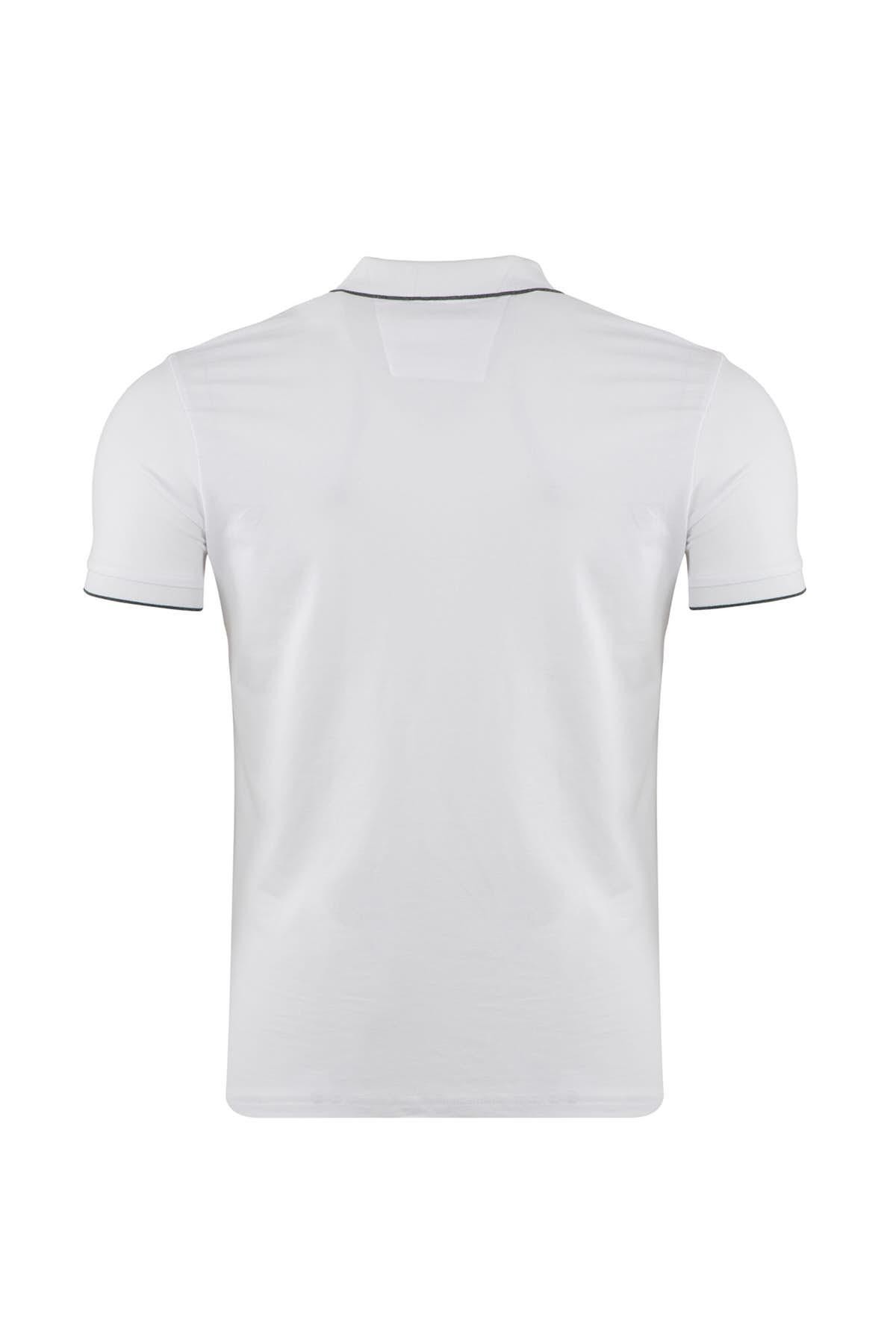 Büyük Beden Polo Yaka T-Shirt