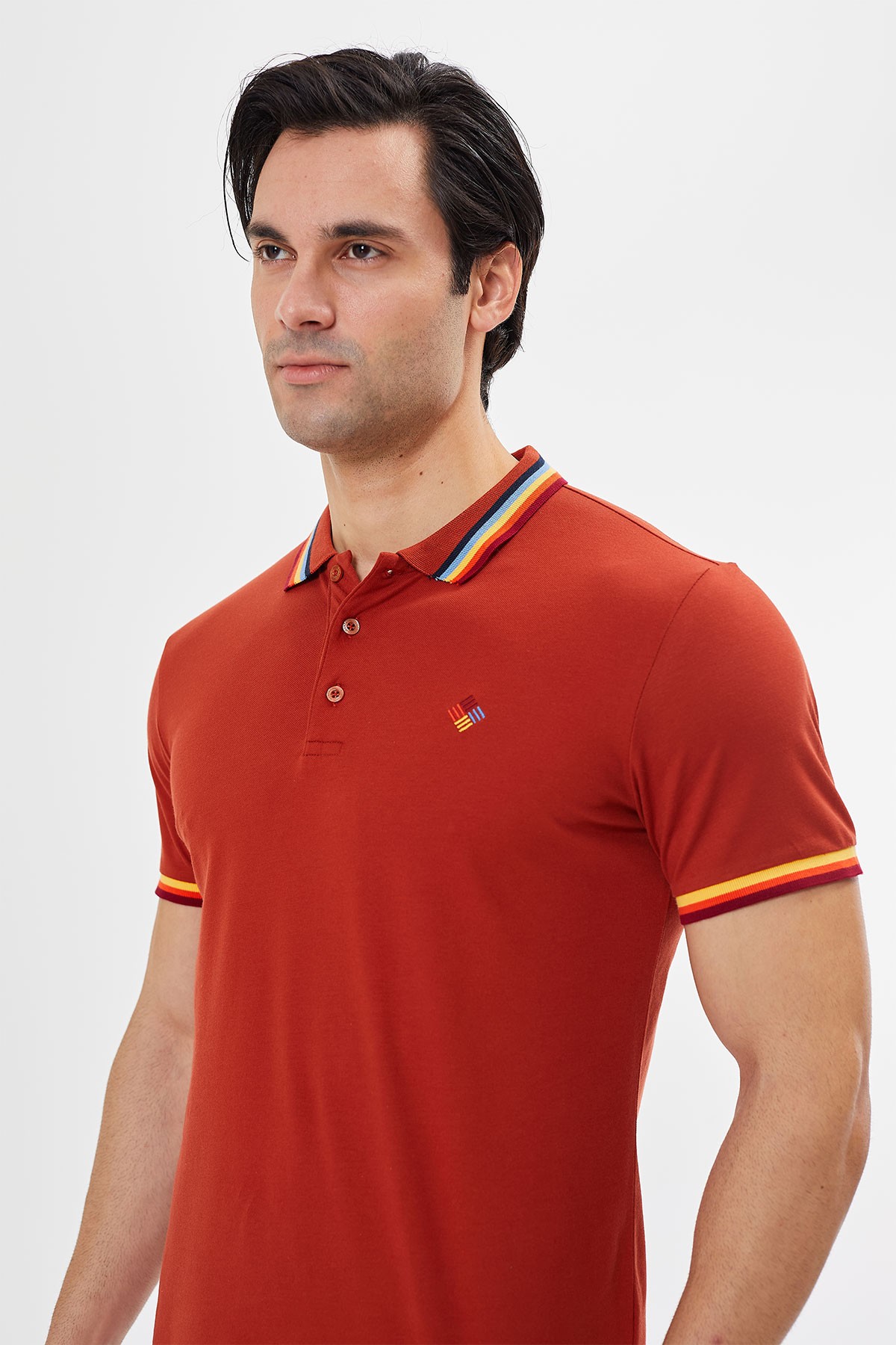 Regular Fit Polo Yaka Düğmeli T-Shırt