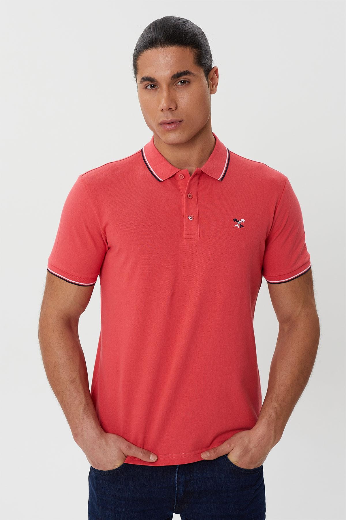 Regular Fit Polo Yaka Nakış Detaylı T-Shirt