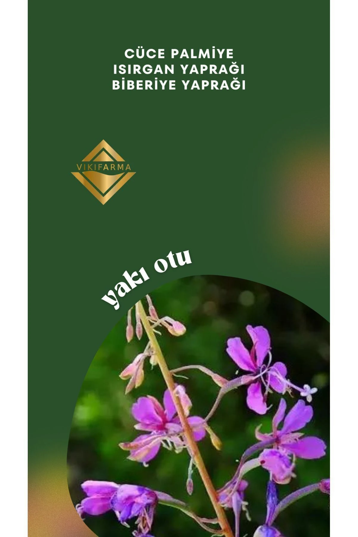 Yeni Nesil Yakı Otu Ekstrakt Bitkisel Karışım 250 ml