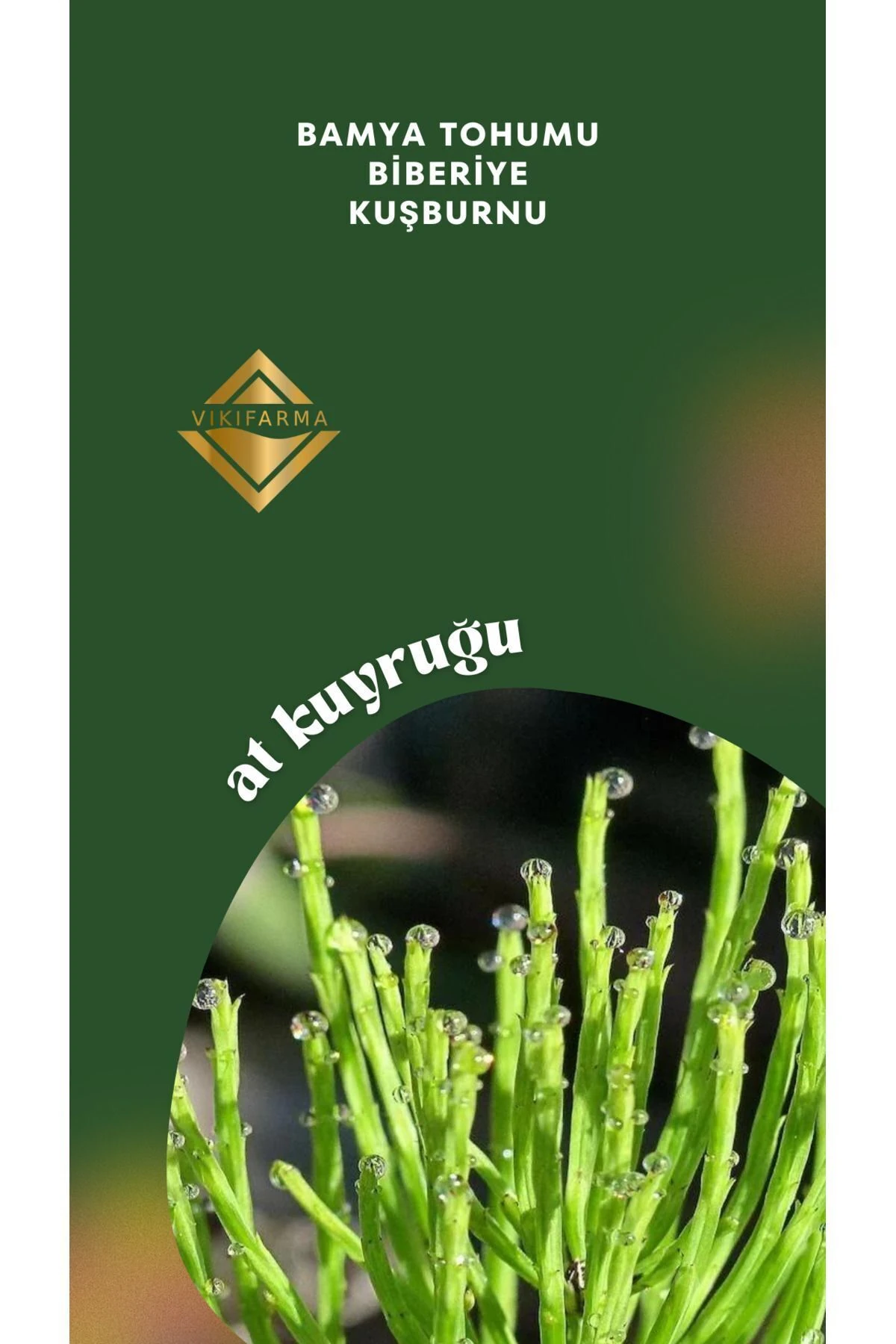 Yeni Nesil At Kuyruğu Ekstrakt Bitkisel Karışım