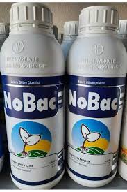 NoBac 1 LT