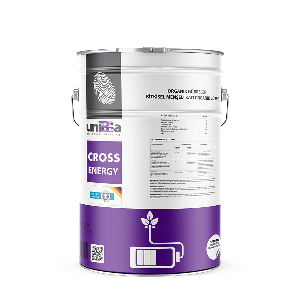 CROSS ENERGY