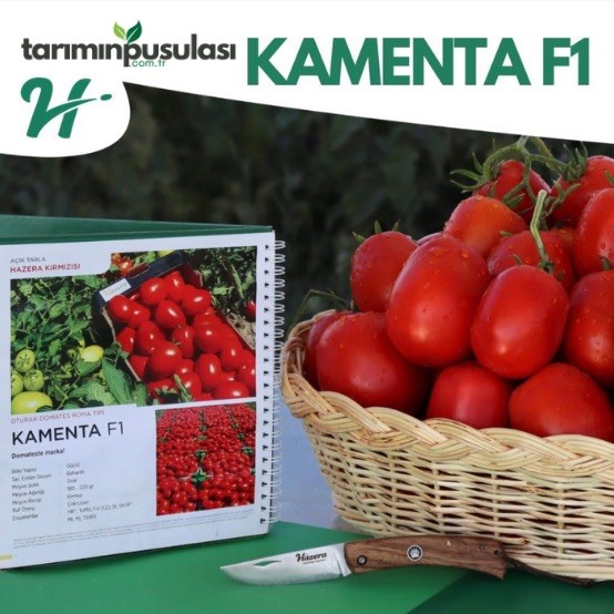 Kamenta F1 Domates Tohumu